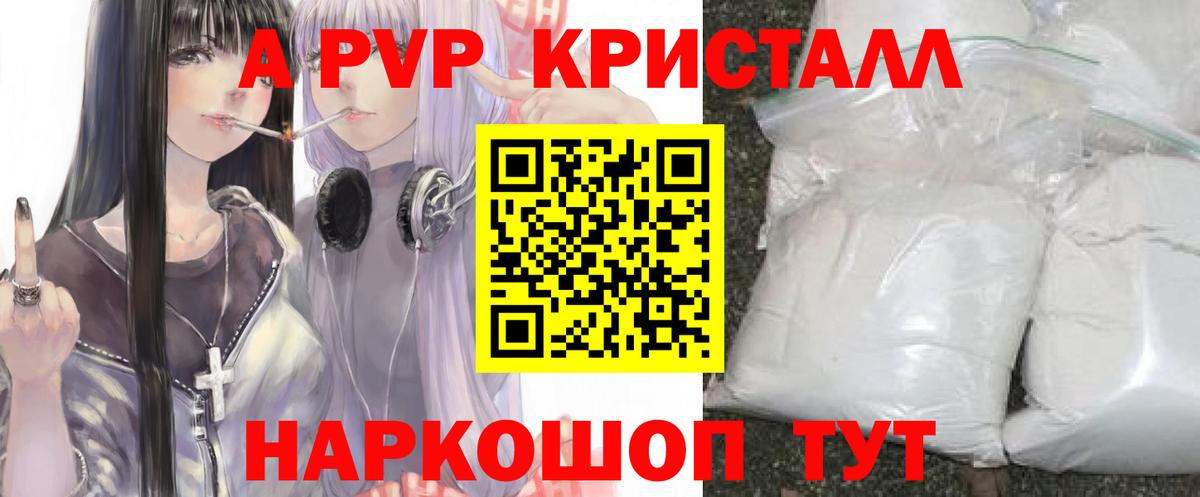 A-PVP СК КРИС Моздок