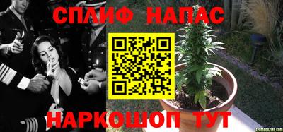 гидропоника Бугуруслан
