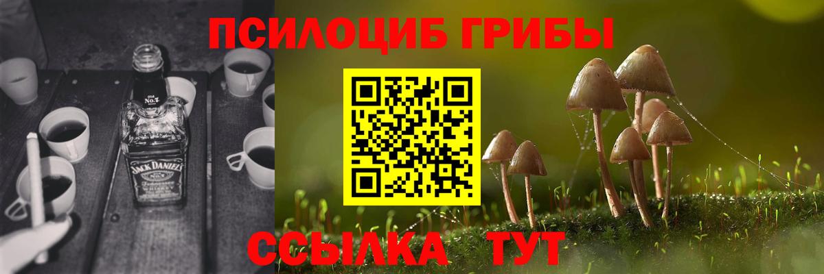 Псилоцибиновые грибы мухоморы  Галлюциногенные грибы Psilocybine cubensis  Моздок  Вход с VPN 